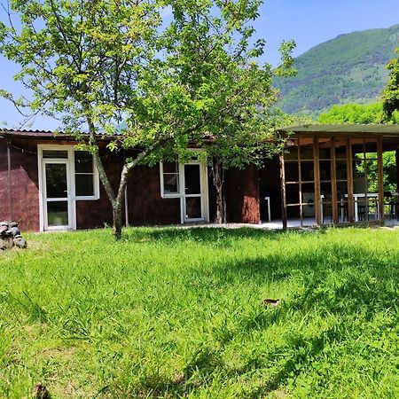 V Gostiakh U Maii Gagry Exterior photo
