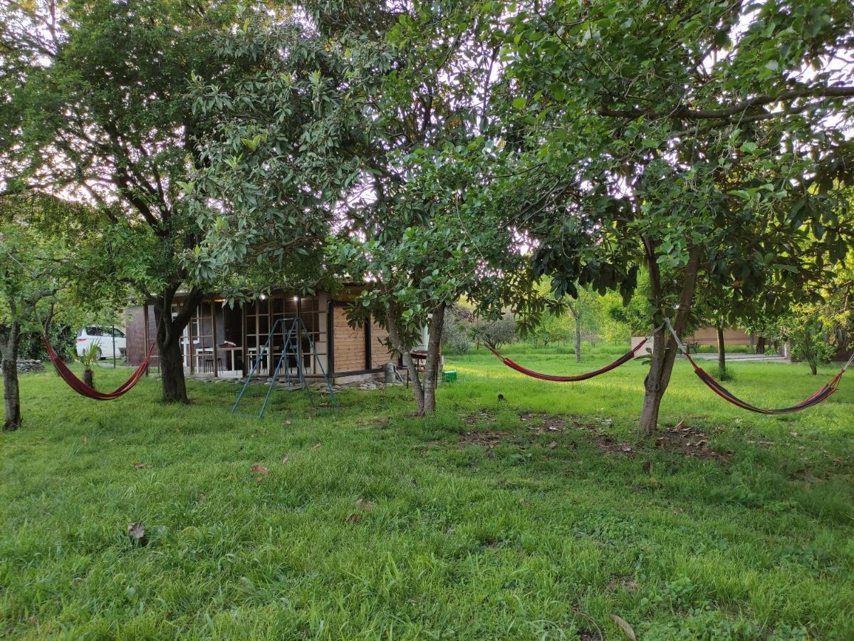V Gostiakh U Maii Gagry Exterior photo