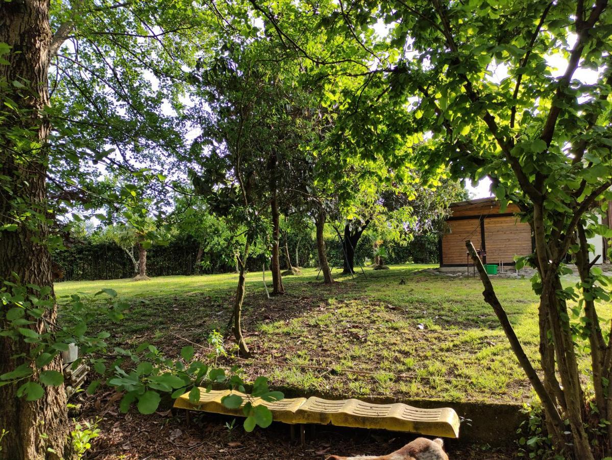 V Gostiakh U Maii Gagry Exterior photo